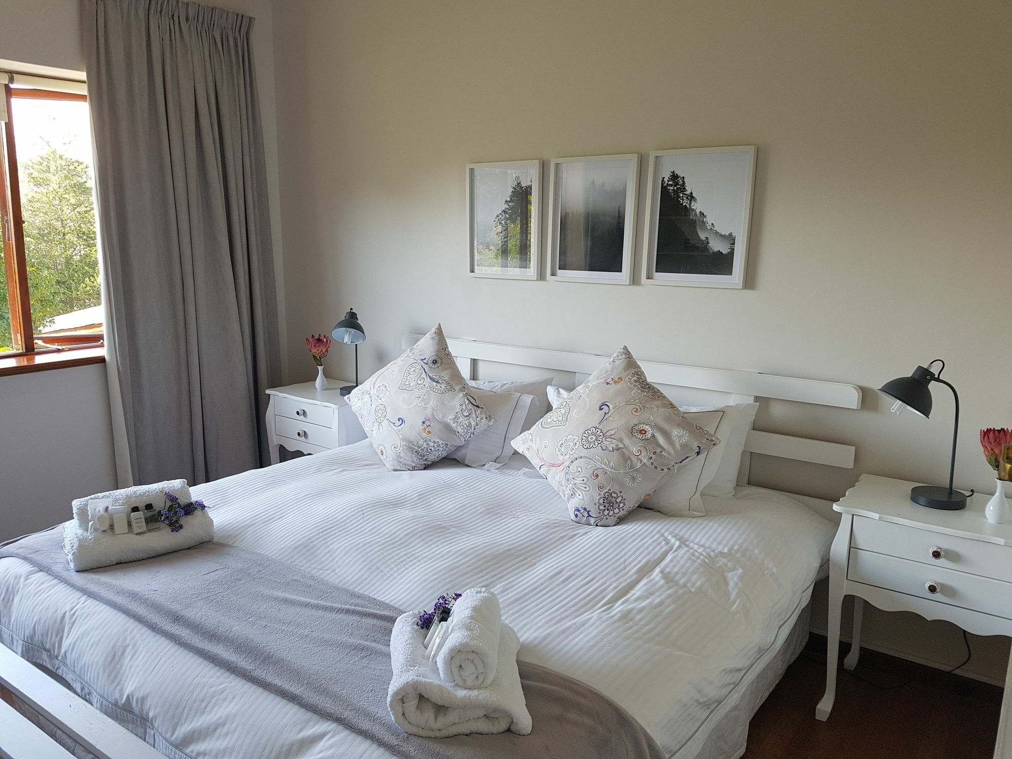 バレー ハイツ ゲスト ハウス アンド B&B ケープタウン エクステリア 写真