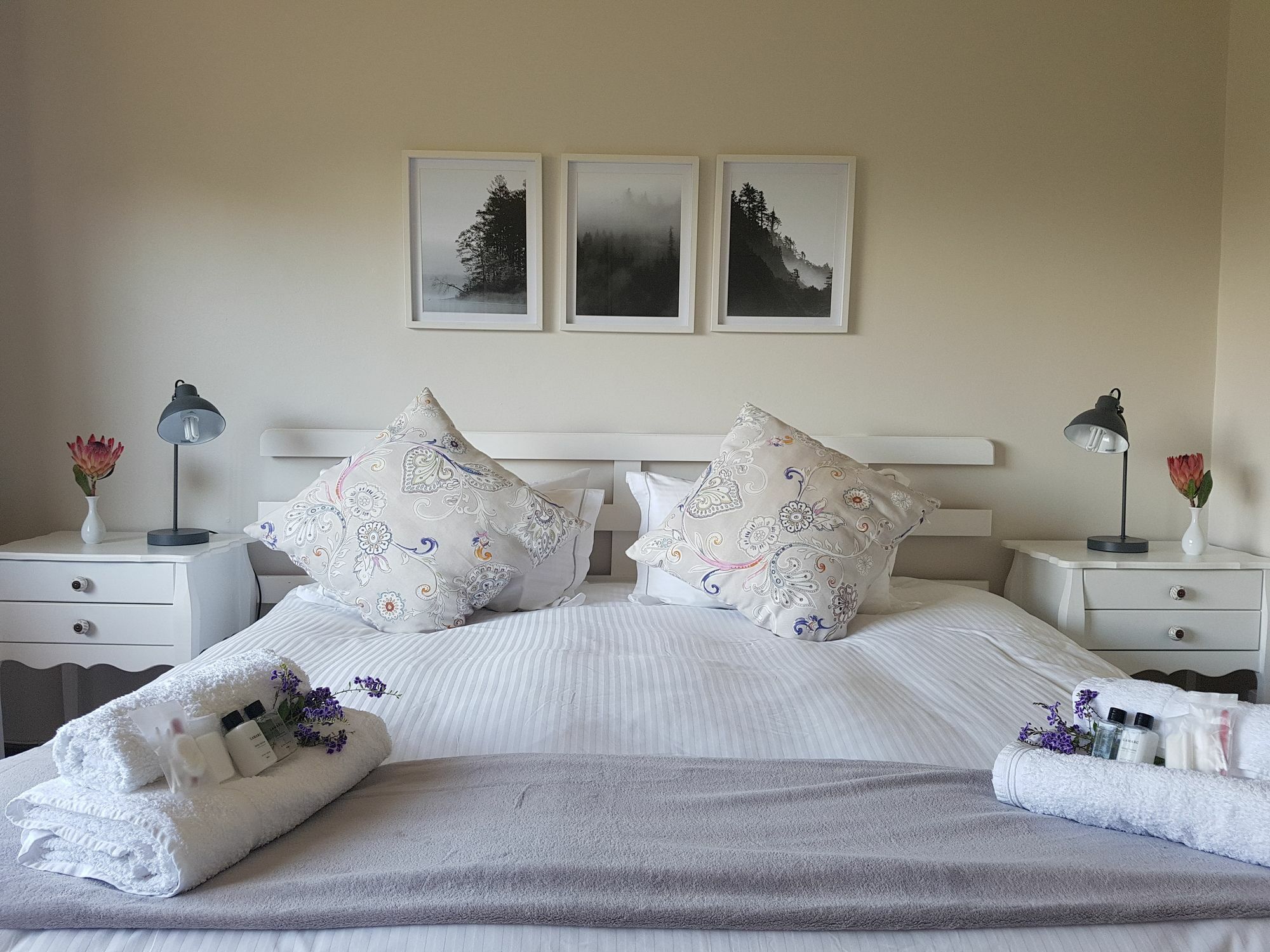 バレー ハイツ ゲスト ハウス アンド B&B ケープタウン エクステリア 写真