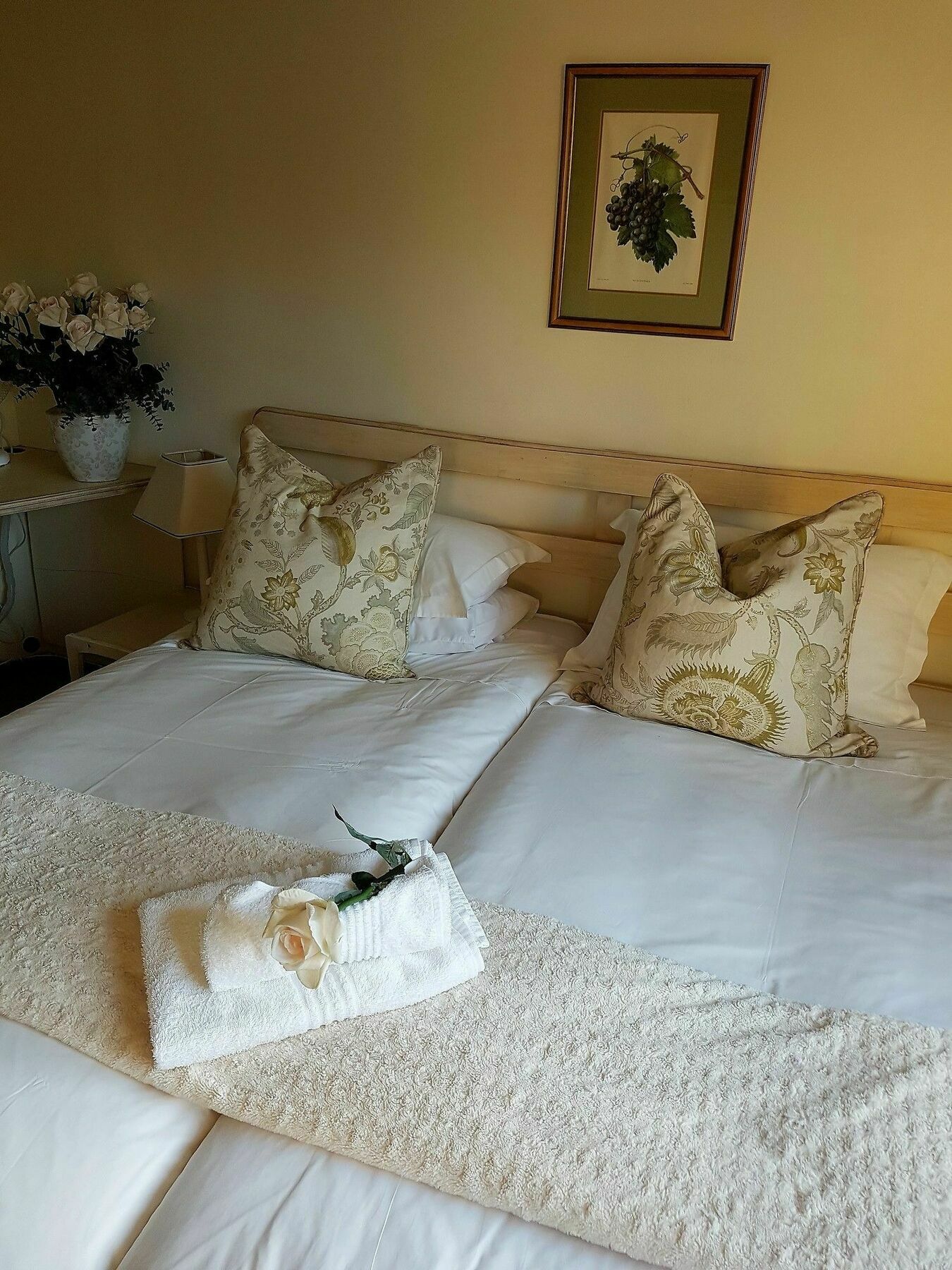 バレー ハイツ ゲスト ハウス アンド B&B ケープタウン エクステリア 写真